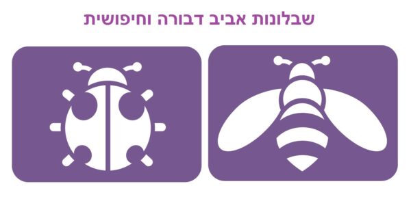 שבלונות אביב-חיפושית+דבורה